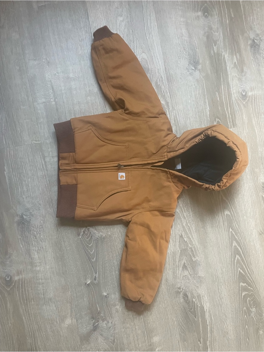 Carhartt Kids Insulated Hooded Jacket in Brown